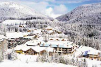 Apex Facts & Amenities