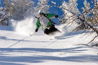 What's New for 2011/12
