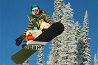 What's New for 2011/12