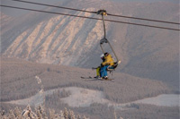 What's New for 2011/12
