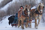 Sleigh Rides