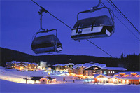 What's New for 2011/12