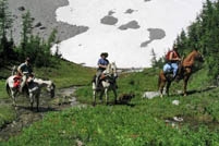 Alpine Enthusiasts